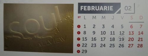 Februarie: sub semnul lui Soul şi cu piele pe spate