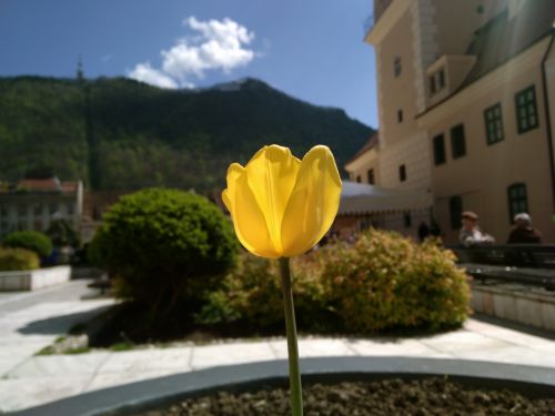 Mostre foto Allview X1 Xtreme