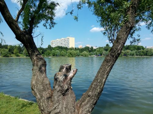 Mostre foto Allview X2 Soul