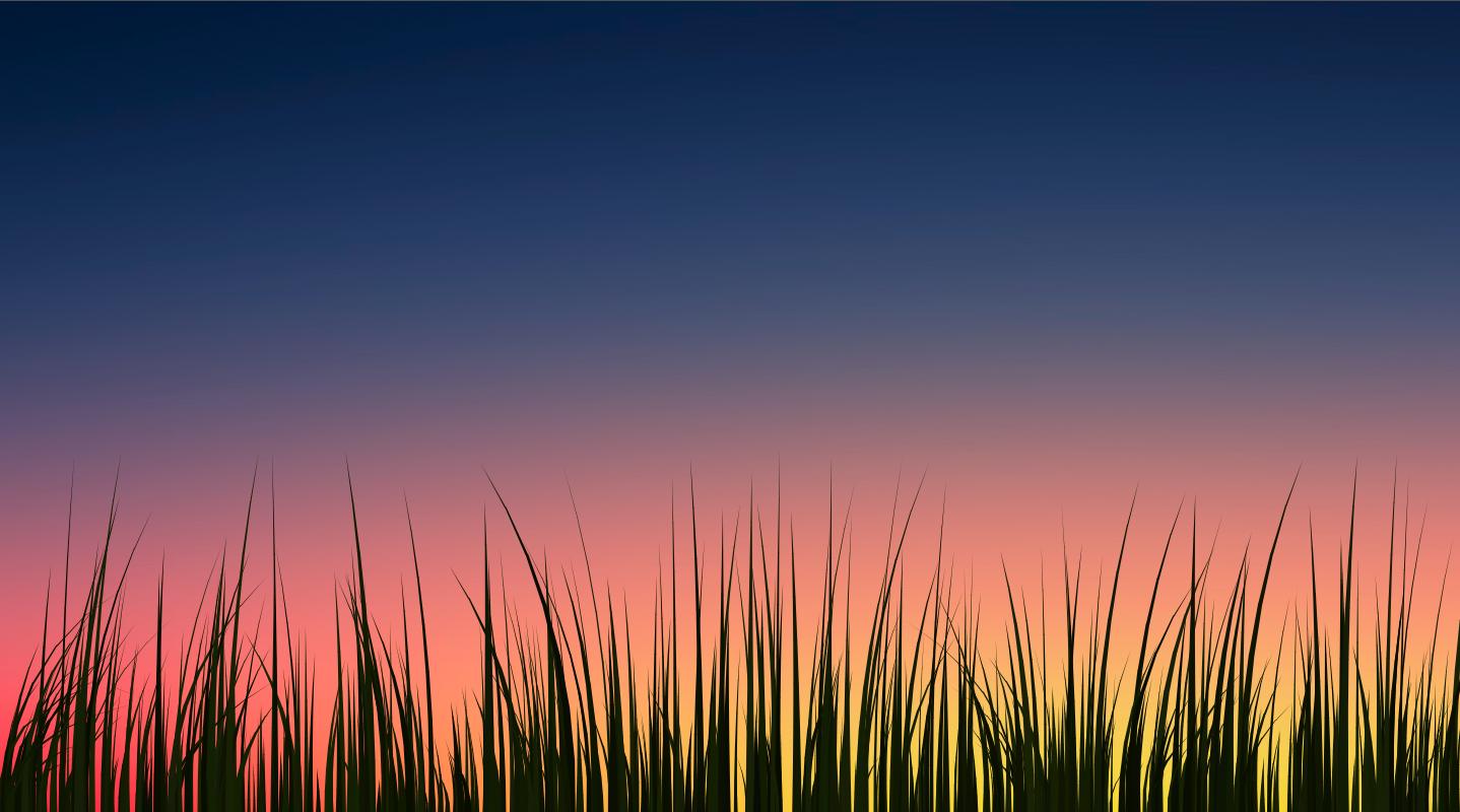 Mai folosim sau nu Live Wallpapers pe Android?