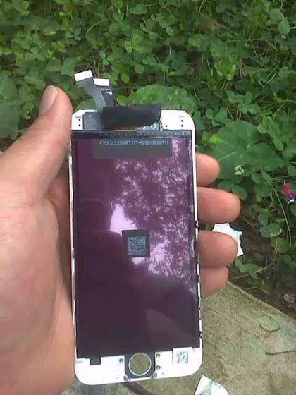 Apple iPhone 6L