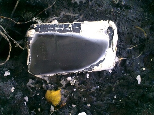 Un iPhone 3G a explodat