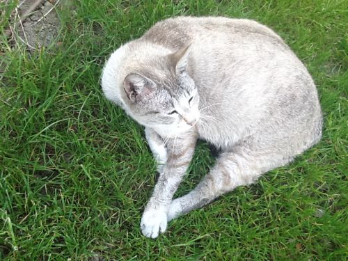 Fotografii facute cu iPad 2