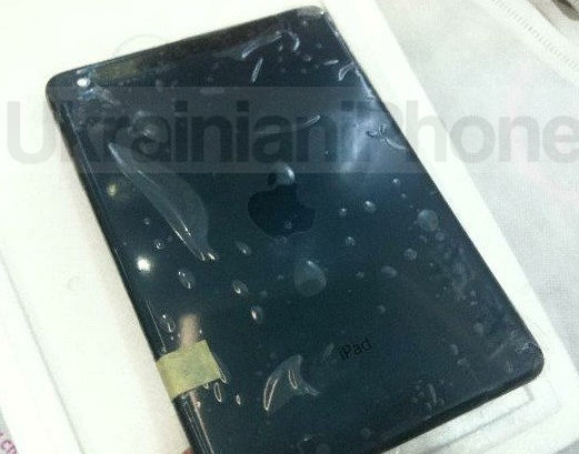 iPad Mini, partea spate