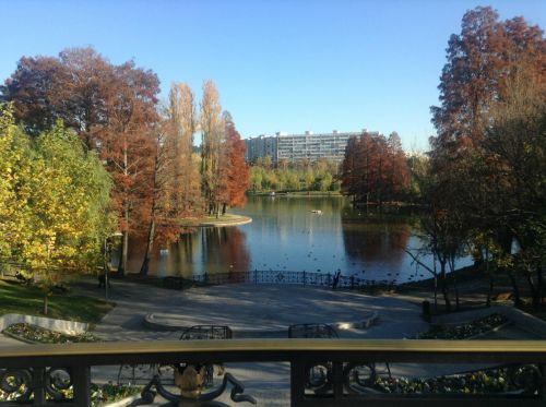 Mostre foto iPad mini