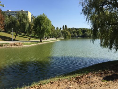 Mostre foto iPhone 6 Plus