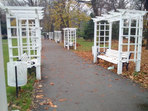 Mostre Foto BlackBerry Passport