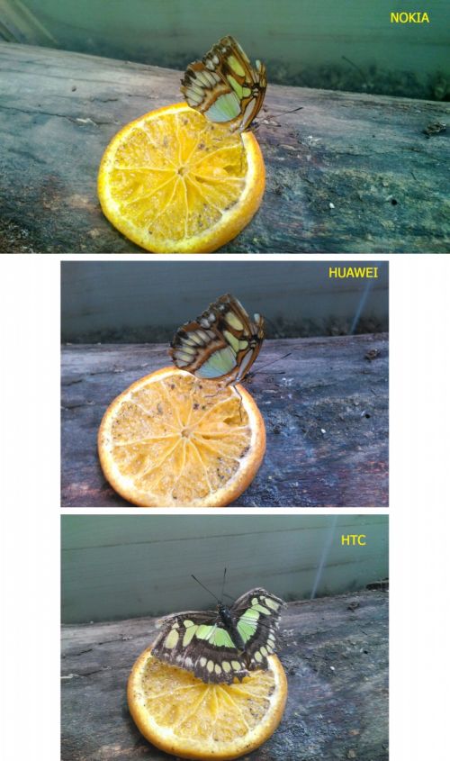 Fotografiere macro - HTC Windows Phone 8S versus Nokia Lumia 820 vs Huawei Ascend W