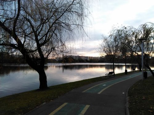 Mostra foto Elephone Trunk