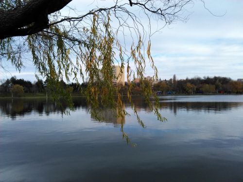 Mostra foto Elephone Trunk