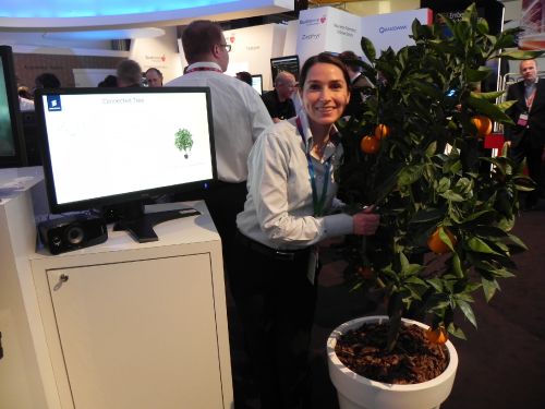 MWC 2011: Copacul care transmite mesaje pe Twitter... nu este magie, ci tehnologia Ericsson (Video)