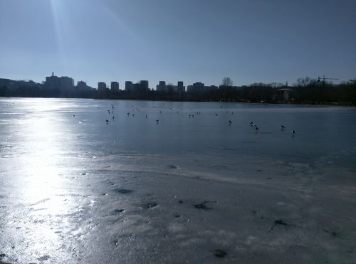 Mostra foto HTC One A9