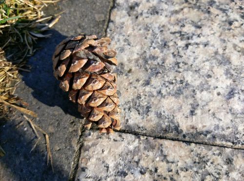 HTC one A9 are una dintre cele mai bune camere de 13 megapixeli de pe piaţă