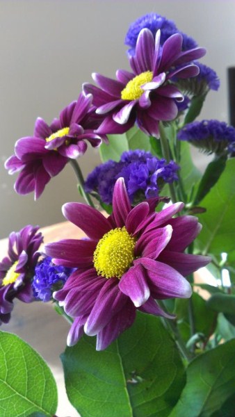 Fotografii făcute cu HTC One X