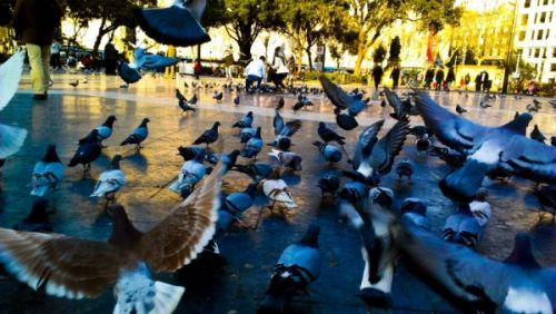 Fotografii făcute cu HTC One X