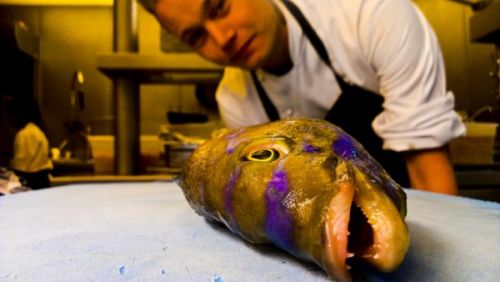 Fotografii făcute cu HTC One X