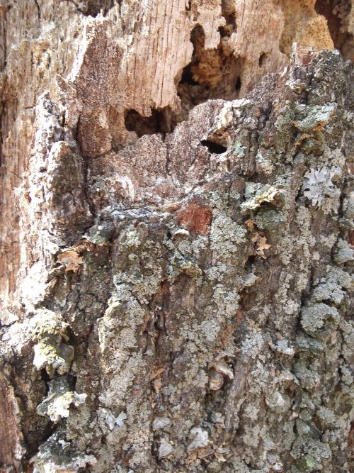 Mostra foto HTC Titan II