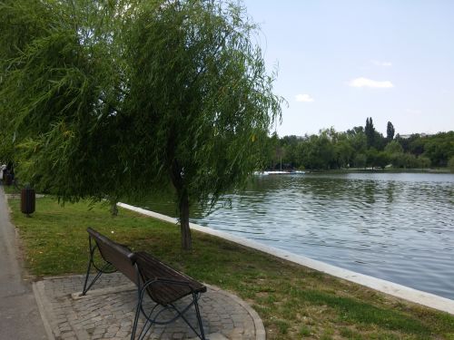 Galerie foto LG G Pro 2