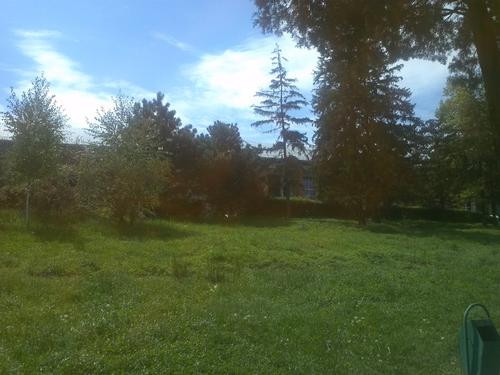 Mostra foto LG Optimus 2X