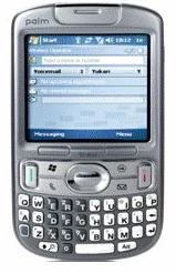 Palm: Treo 800W, mai mult decat un zvon