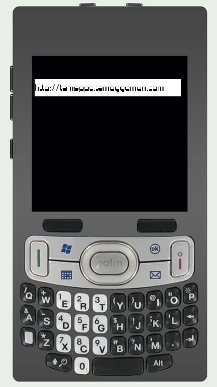 Palm: 2 noi terminale Palm, Zeppelin si Skywriter se lanseaza in 2008