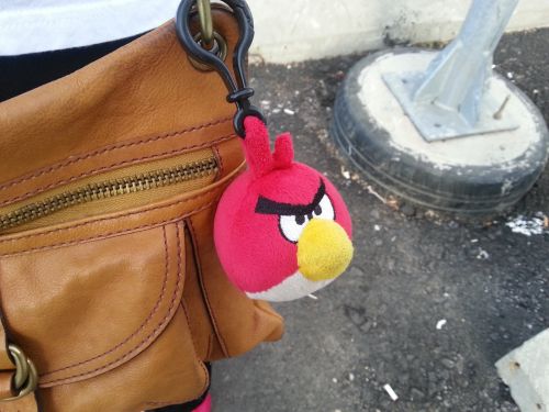 Samsung Galaxy S III mostra foto exterior