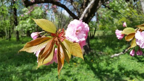 Samsung Galaxy S5 - Mostra foto