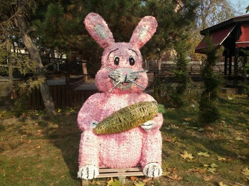 Mostre foto Sony Ericsson Live With Walkman