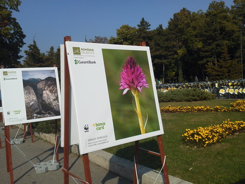 Mostre foto Sony Tablet S