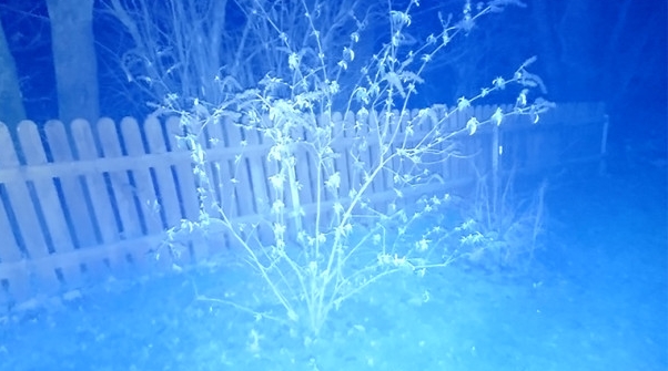 Posesorii de Sony Xperia Z1 Compact raportează unele probleme Întâmpinate la capitolul captură foto