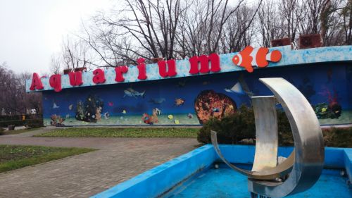 Mostre foto Sony Xperia Z1 Compact