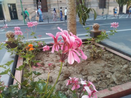 Mostre foto UTOK 5008