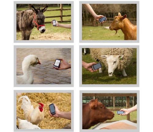 Google+translate+for+animals+online
