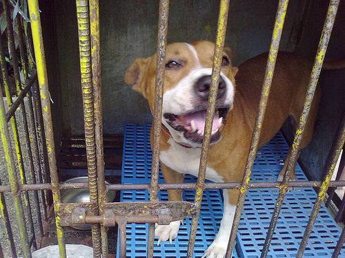 Nokia Tube upgrade software