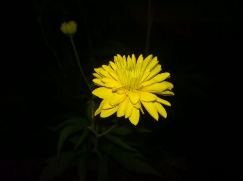 Captura nocturna cu Nokia Lumia 930