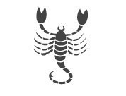 Zodia Scorpion 21 oct - 20 nov