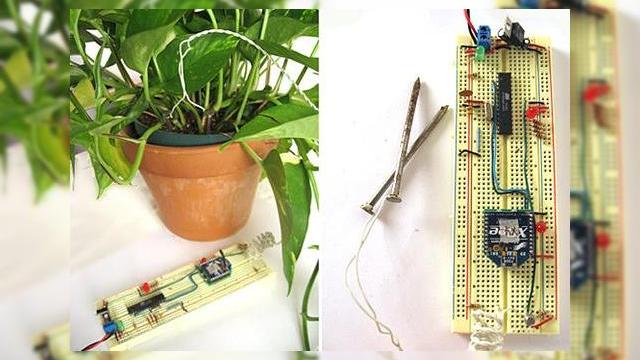 <b>Telefon mobil pentru plante!!!</b>4 studenti de la New York University au descoperit o metoda prin care plantele dumneavoastra va pot suna cand au nevoie de apa. Din ciclul inventiilor "utile si nu prea", acest terminal pentru plante poate fi comparat cu cel folosit pentru animalele de...