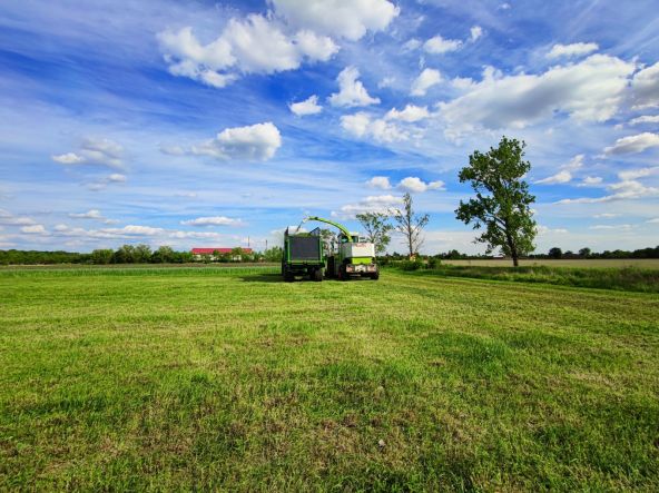 Mostră foto Xiaomi Mi 10 Pro 5G