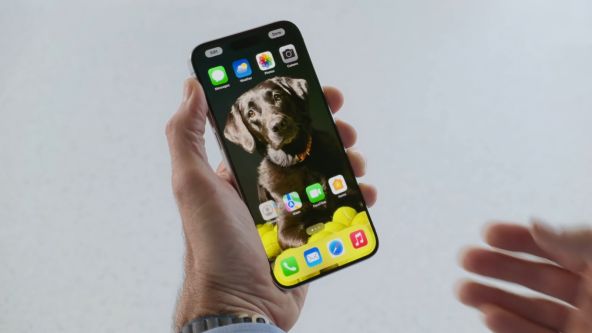 Personalizare și Ecran de Pornire