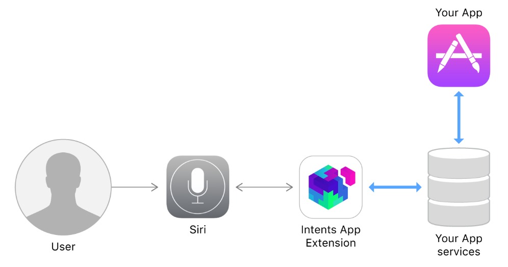 Siri primește comenzile App Intents pe iPhone mai devreme decât se anticipa; Funcții utile precum editarea imaginilor și autentificarea vocală vin din primăvara 2026