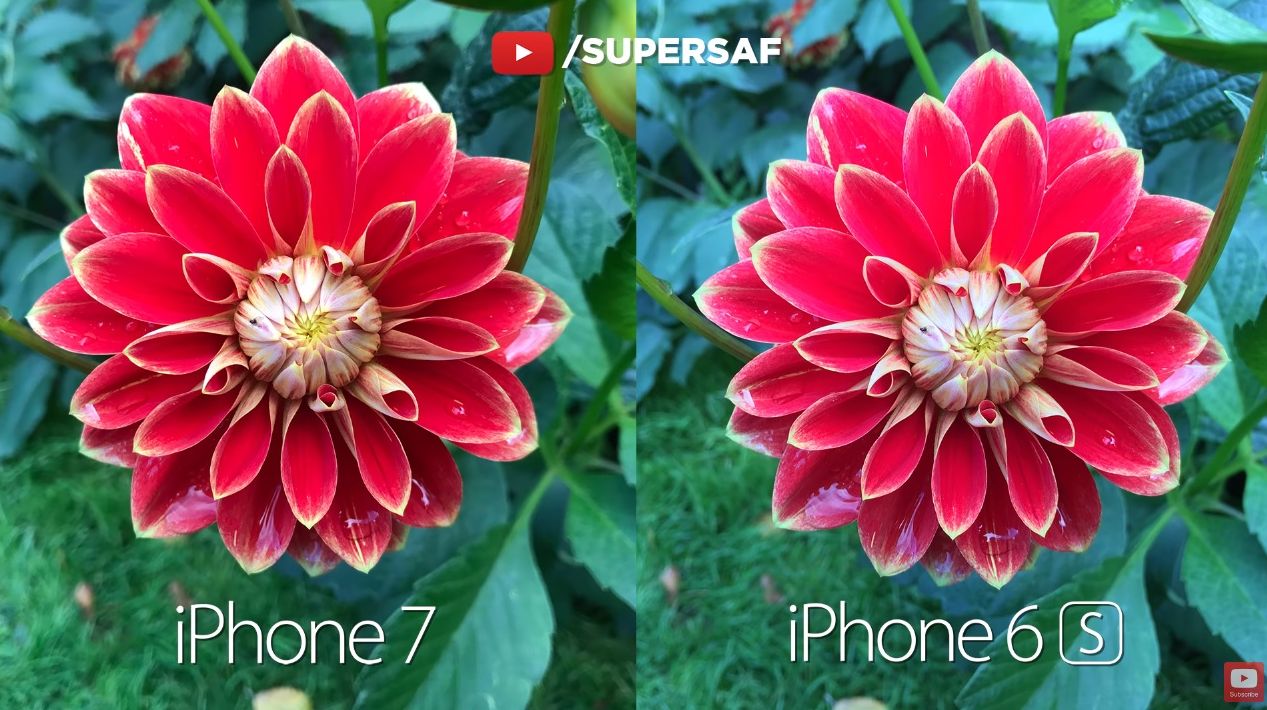 iPhone 7 vs. iPhone 6s