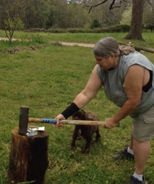 Apple iPhone 5c distrus cu barosul