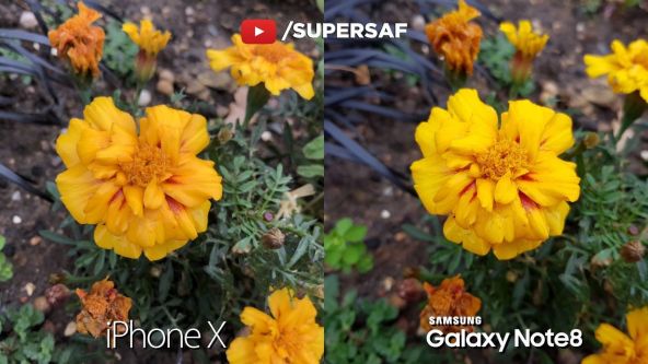 iPhone X