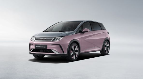 BYD Dolphin Surf