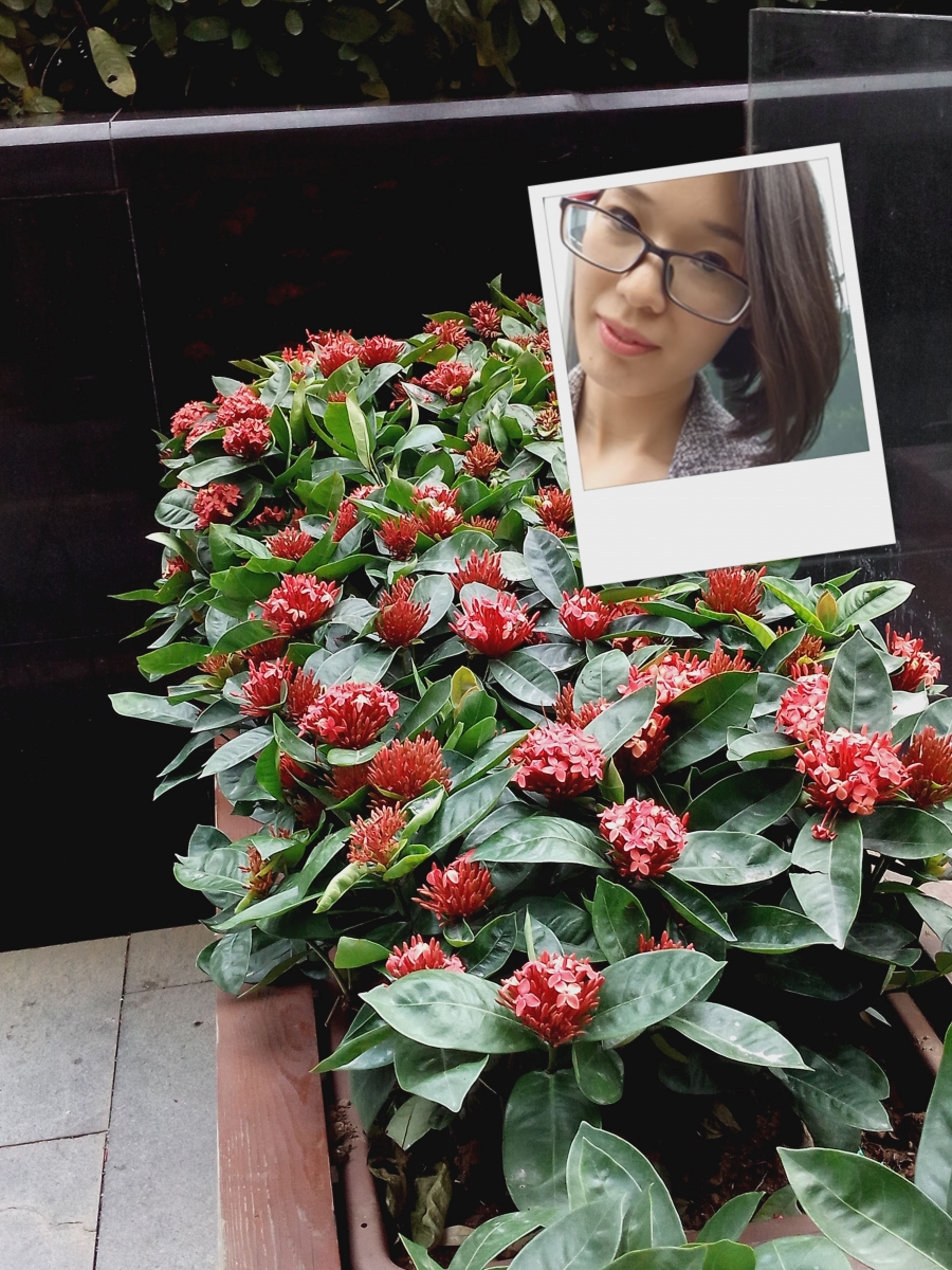 Mostra foto Elephone S7