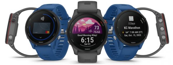 Garmin Forerunner 255