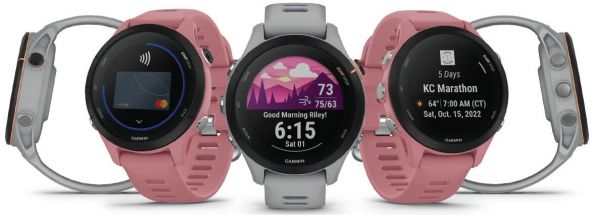 Garmin Forerunner 255