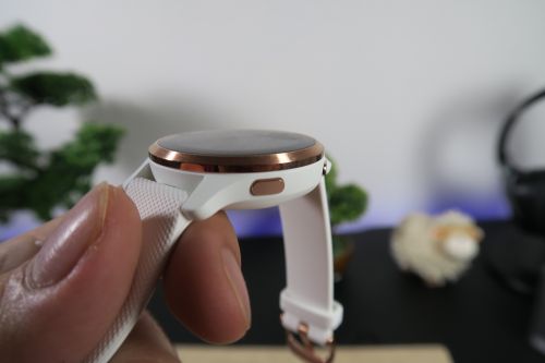 Garmin Venu 2s