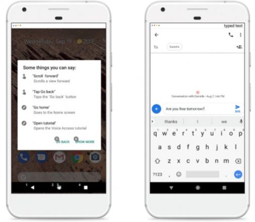 Google Voice Access