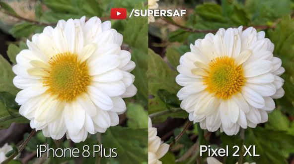 iPhone 8 Plus vs Pixel 2 XL